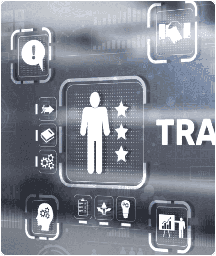 Training and Change Management